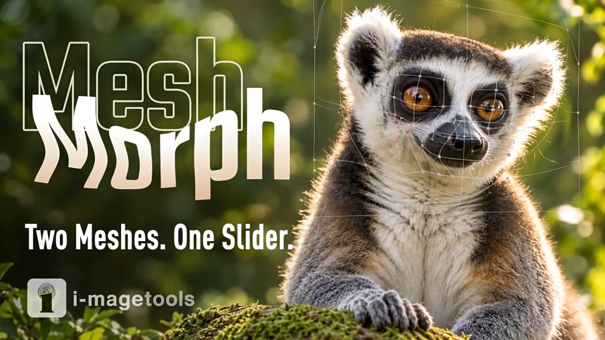 AE/PR插件-MeshMorph v1.4 网格局部扭曲变形液化工具 Win/Mac 含使用教程-1