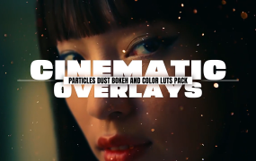 15组电影粒子灰尘漂浮氛围叠加动画 Cinamatic Particles Dust Bokeh