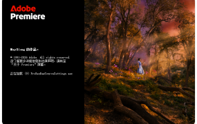 Adobe Premiere Pro 2026 v26.0.0.72 直装破解版