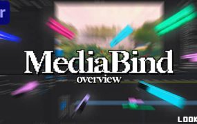 PR脚本-时间线效果保存为预设应用 MediaBind 1.3.0 含使用教程