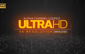 4K真实下雨特效循环动画视频素材+音效+Alpha透明通道 Rain