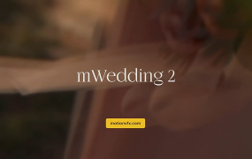 达芬奇插件-mWedding 2婚礼视频剪辑字幕条标题特效转场工具包