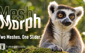 AE/PR插件-MeshMorph v1.4 网格局部扭曲变形液化工具 Win/Mac 含使用教程