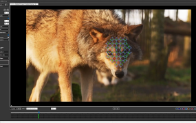 中文汉化AE插件-物体表面跟踪特效合成高级工具 Lockdown v3.1.7 Win